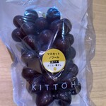 橘萄園 - つやっつや✨なマスカットノワール