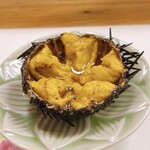 穴子料理と地酒 浅草 川井 - 殻付き雲丹