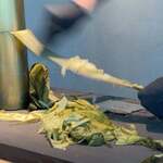 昆布と麺 喜一 - 