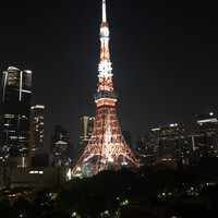 日本料理 芝桜 - 