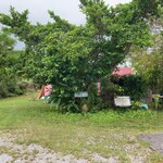 ヒロ コーヒーファーム - 