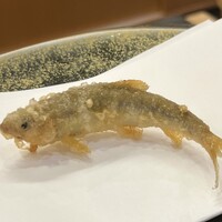 天ぷら 車 - 