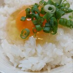 たまごん工房 たまごご飯カフェ - 