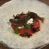 ヴェーナ - 