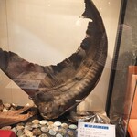 中国料理　白鳳 - 