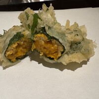 天七 - 