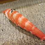 鮨匠 のむら - 車エビ握り。