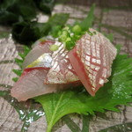 鮨匠 のむら - 天然シマアジ刺身。