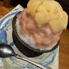 Tokyo ShaveIce Ancredore