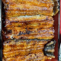 大塚 うなぎ宮川 -  大塚 うなぎ宮川 -