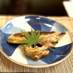 よし町 - 奥久慈しゃも炭火焼き・手羽・ぼんじり