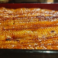 うなぎ 目白ぞろ芽 - 