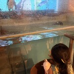 ペンギンのいるダイニングバー沖縄 - 