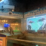 ペンギンのいるダイニングバー沖縄 - 