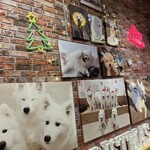 Samoyed Lounge moffu - 