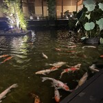 鉄板・懐石 くら馬 - 