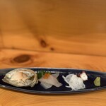 手酌割烹 てら田 - 