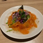 アルテッツァ・トマム - 