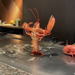 六本木 鉄板焼 ORCA - 