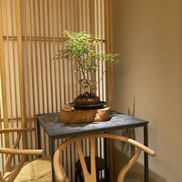 Selvaggio - 
