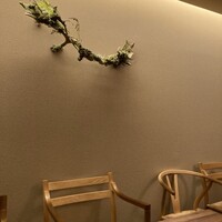 Selvaggio - 