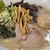麺処M - 料理写真: