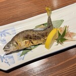 魚と煮込みとわら焼きと ととと - 