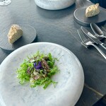 International cuisine subzero - 