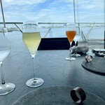 International cuisine subzero - 