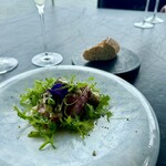 International cuisine subzero - 