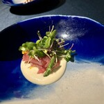 セルサルサーレ - 