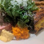 ヴィット・デ・ウィット - 