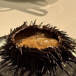レストランひらまつ 広尾 - 料理(北海道奥尻島産ムラサキウニと青森県産野辺地かぶのムース・赤座海老のジュレ)