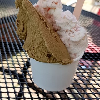 口コミ一覧 : icecream factory PiPi （ピピ【旧店名】東京