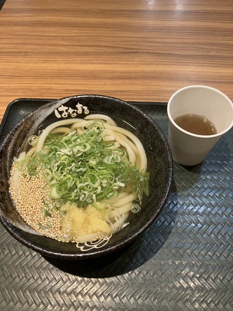 Hanamaru Udon Osaka Shinsaibashi Ten