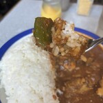 カリーライス専門店エチオピア - チキンカリー