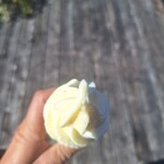 カフェアンドレストランアッタカ - 