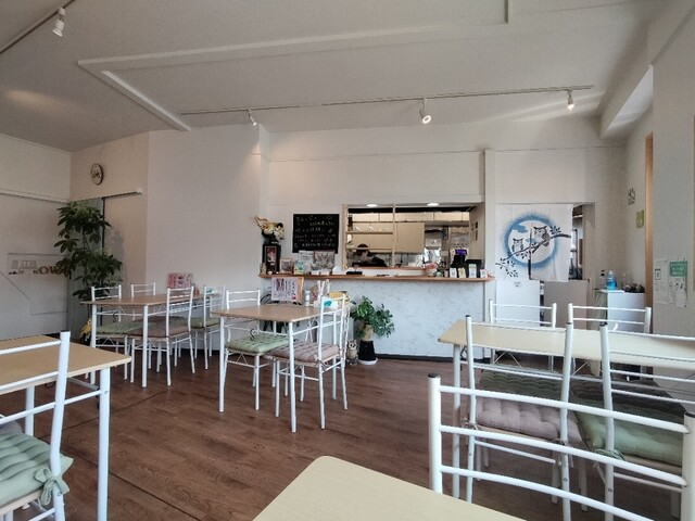 Cafe OWL photo 4
