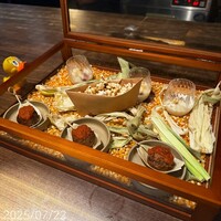 yokoyama - 