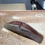 鮨ト酒肴 富かわ - 