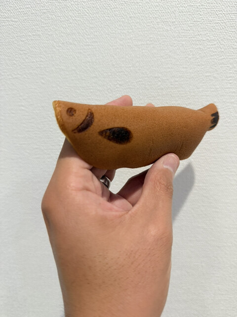 Aono Sohonpo photo 5