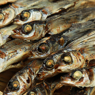 無添加・厳選あご出汁を使った優しい味わいのうどんを味わう◎