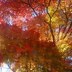 호시노야 카루이자와