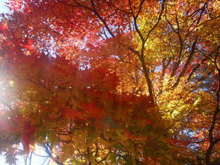 호시노야 카루이자와