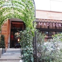 マディソン ニューヨーク キッチン - 