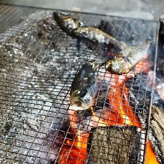 郡上八幡 大滝鍾乳洞_0