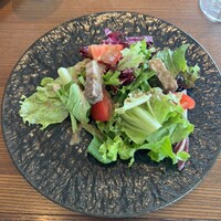 オーシャン カシータ - 