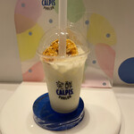 発酵 CALPIS PARLOR - 