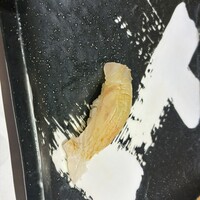 赤坂 鮨葵 - 