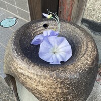 シーズン - 